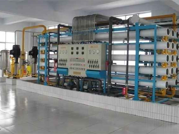 信號紫羅蘭彩涂卷